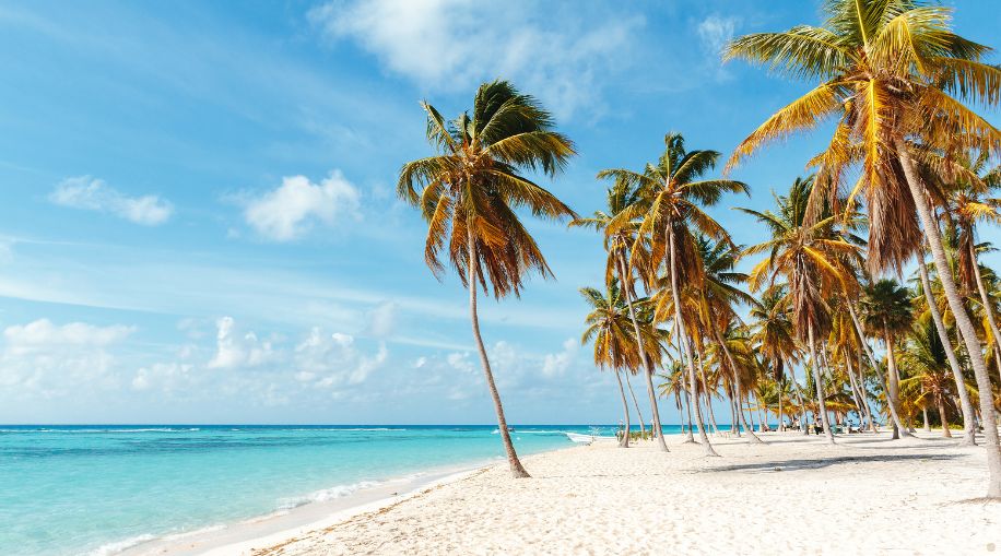 A beach in the Caribbean